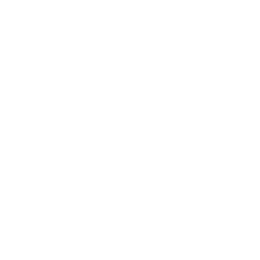 FEPS - Four Eyes Principal System